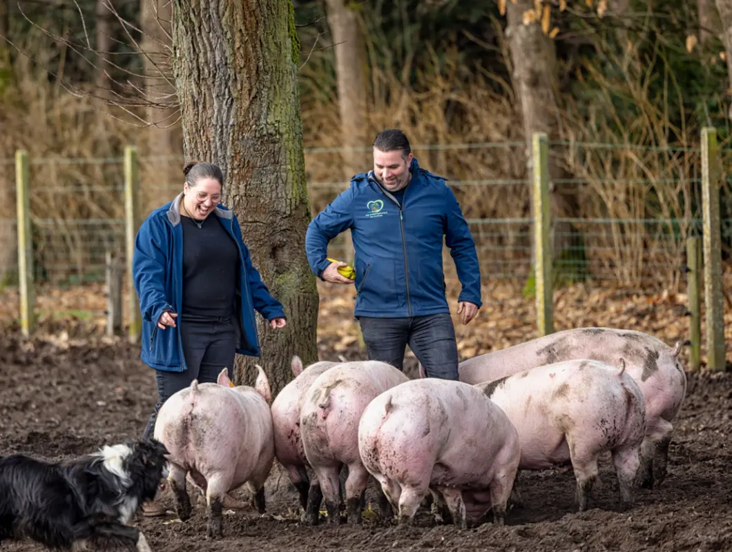 Geert Verpoorten testimonial