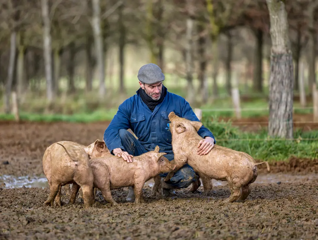 Peter van Lommel testimonial