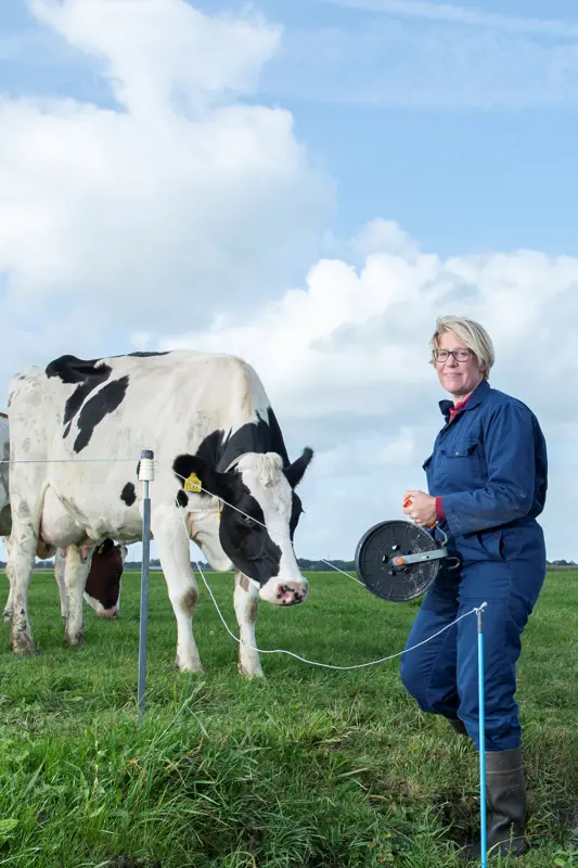 Brigit Bakels testimonial