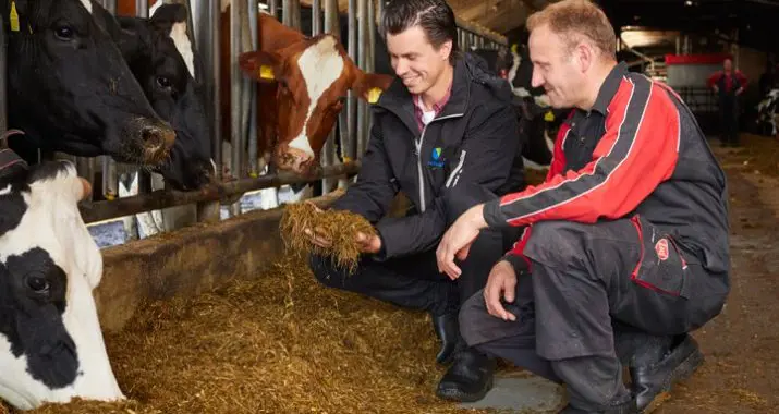 Familie Aaftink-Hurenkamp testimonial