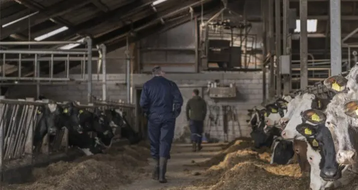 Familie Bergman testimonial