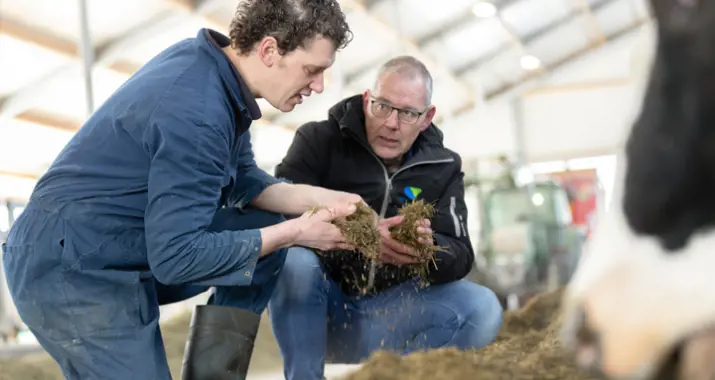 Familie De Jong- Van der Burg testimonial