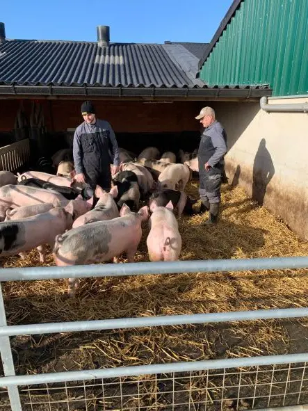 Varkenshouderij Peeters-Bukenbergs testimonial